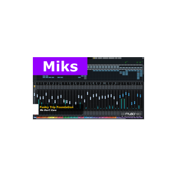 Musoneo - ‌Miksowanie muzyki funk - Kurs video PL (wersja elektroniczna)